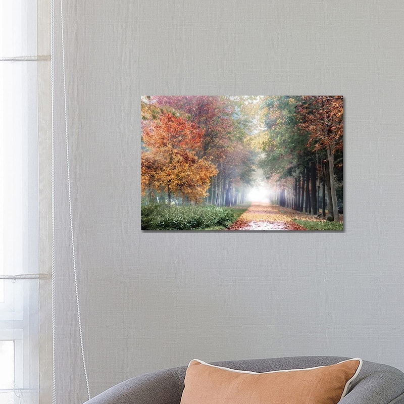 iCanvas "Breath" by Irene Weisz Canvas Print - 18x26x1.5