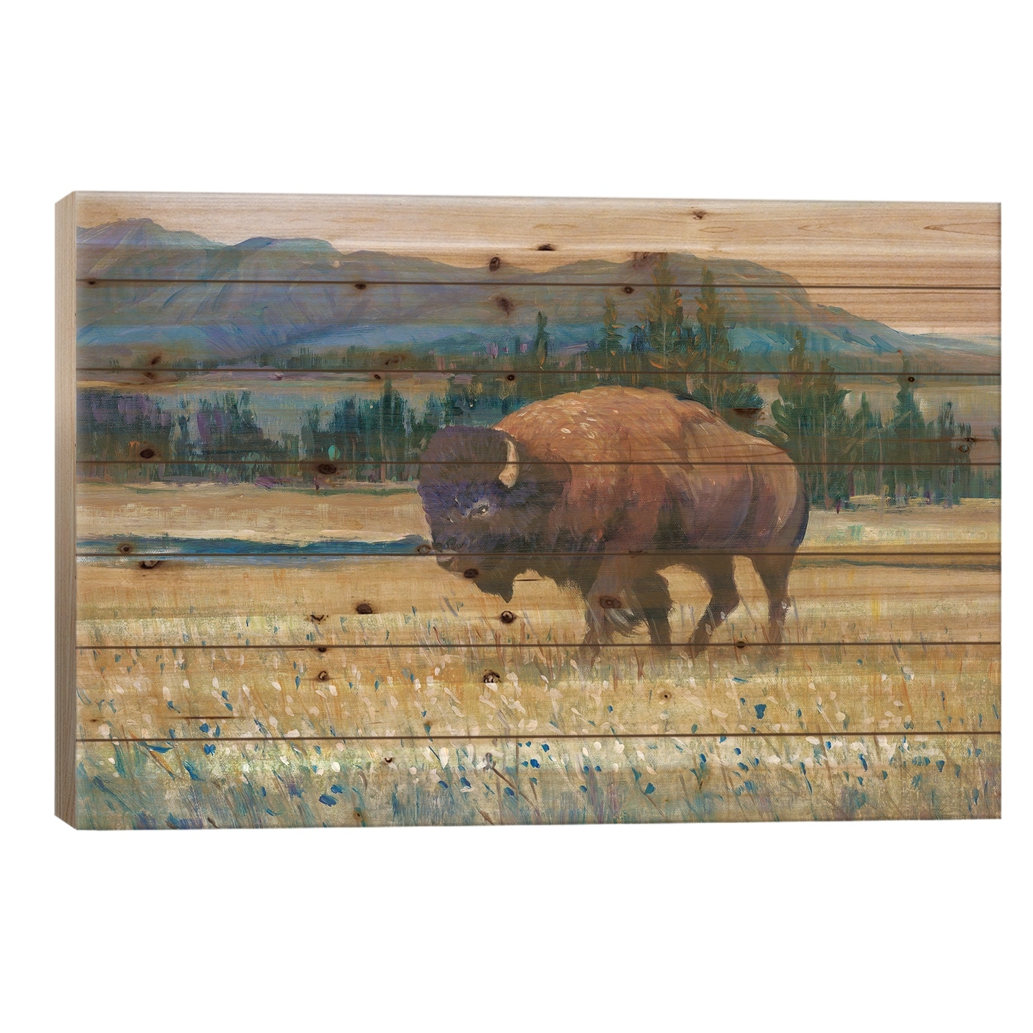 Animals of the West II Print On Wood by Tim OToole - Multi-Color