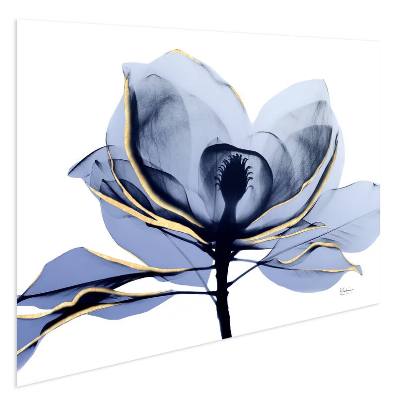 "Golden Midnight 2" Frameless Free Floating Tempered Glass Panel Graphic Wall Art