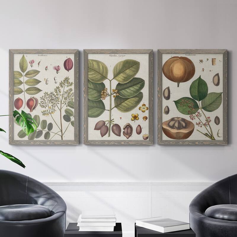 Exotic Botanique I-Premium Framed Canvas - Ready to Hang - Multi-Color ...