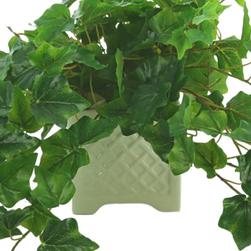 Ivy Arrangement in Square Ceramic Pot - Green