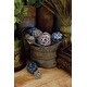 preview thumbnail 13 of 12, Blue Natural Dried Flower Coastal Orbs & Vase Filler Set of 2 11 x 7 x 6