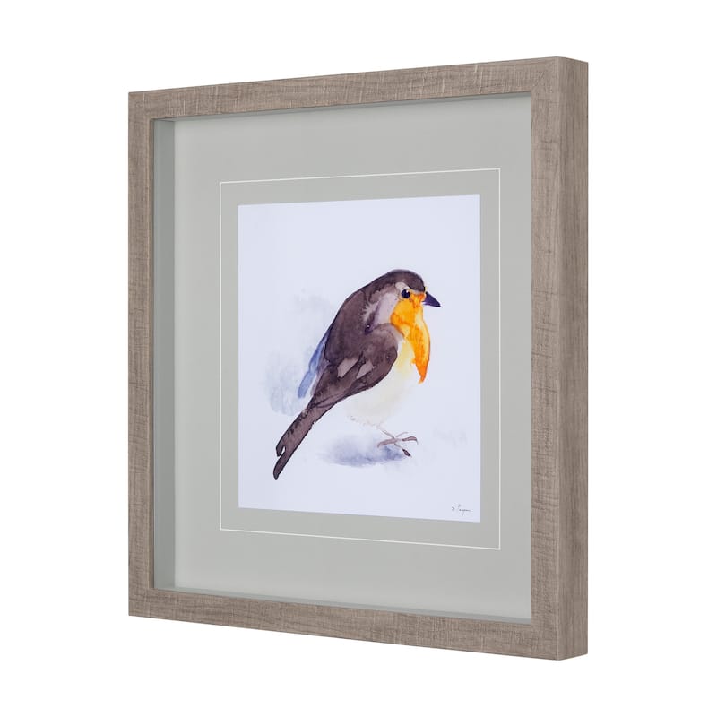 Robin II Framed Art Print