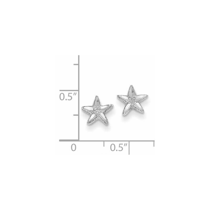 Curata 14k White Gold 8mm Sparkle Cut Sea shell Nautical Starfish Earrings
