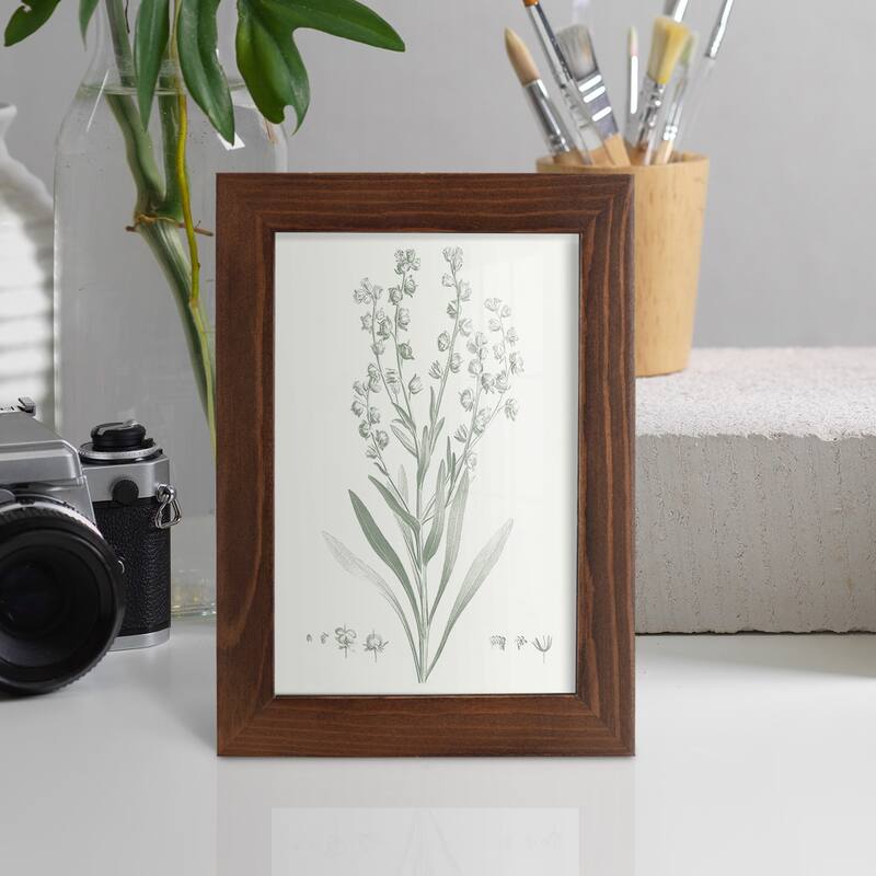 Botanical Study in Sage I -Framed Print w/glass-Cherry Red