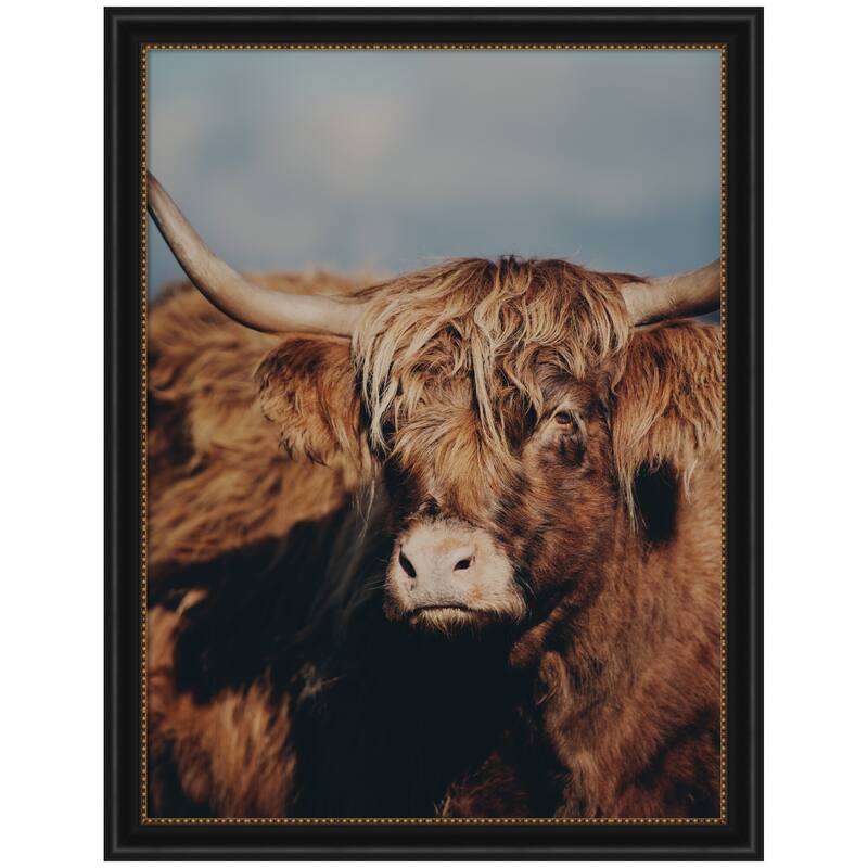 Kate and Laurel Highland Cow No. 5 by Laura Evans Framed Wall Art Print - 34 x 44 - Black