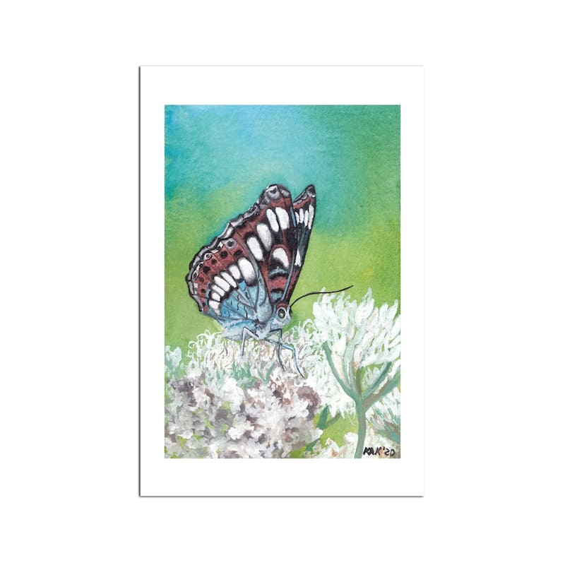 Butterfly VIII Fine Art Paper Print by KAK Art & Designs - Multi