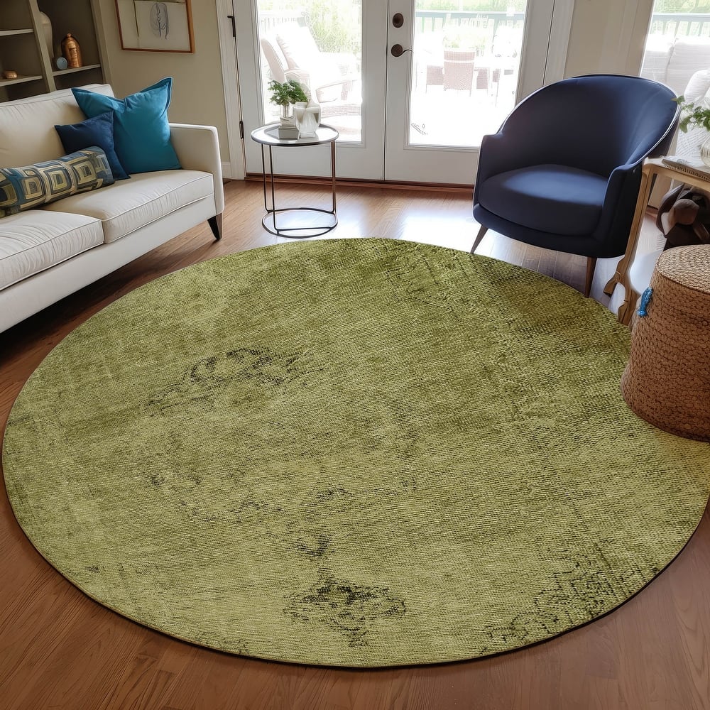 Machine Washable Indoor/ Outdoor Chantille Traditional Vintage Rug