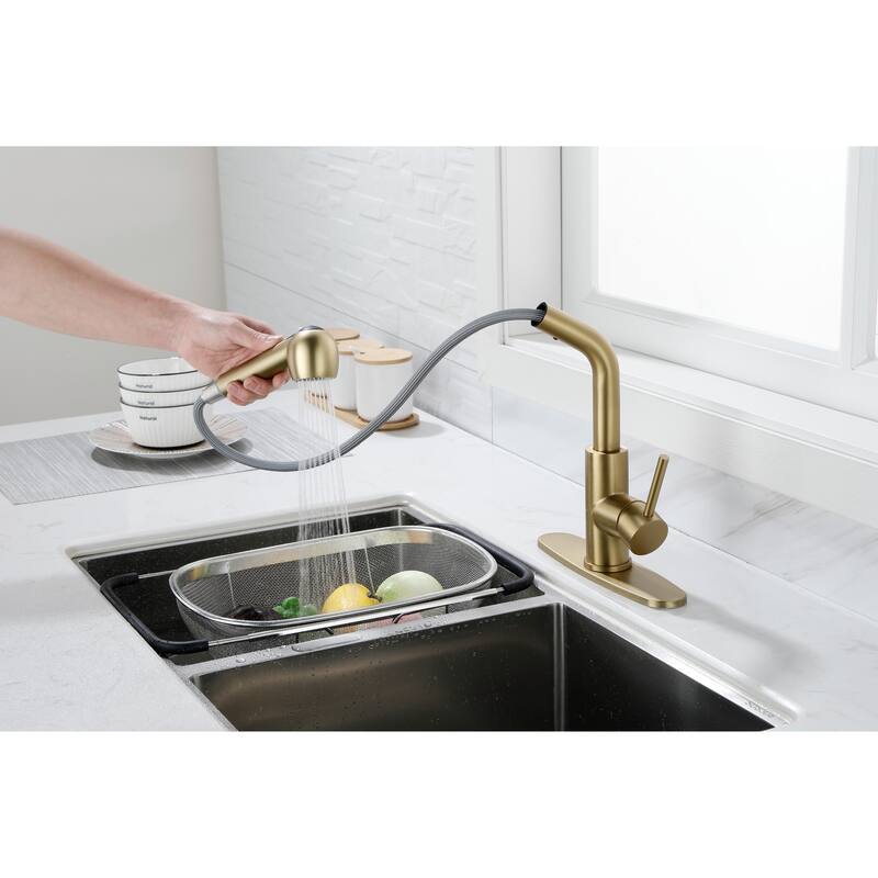 Utility Sink Faucets Single-Handle Pull-Out Laundry Faucet with Dual Spray Function in Stainless Spot Resistant Gold