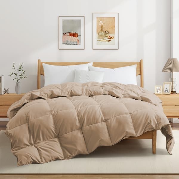 All Season Lightweight & Medium Weight White Goose Feather Down Comforter Duvet Insert - Full - Queen - Lightweight Ginger Root