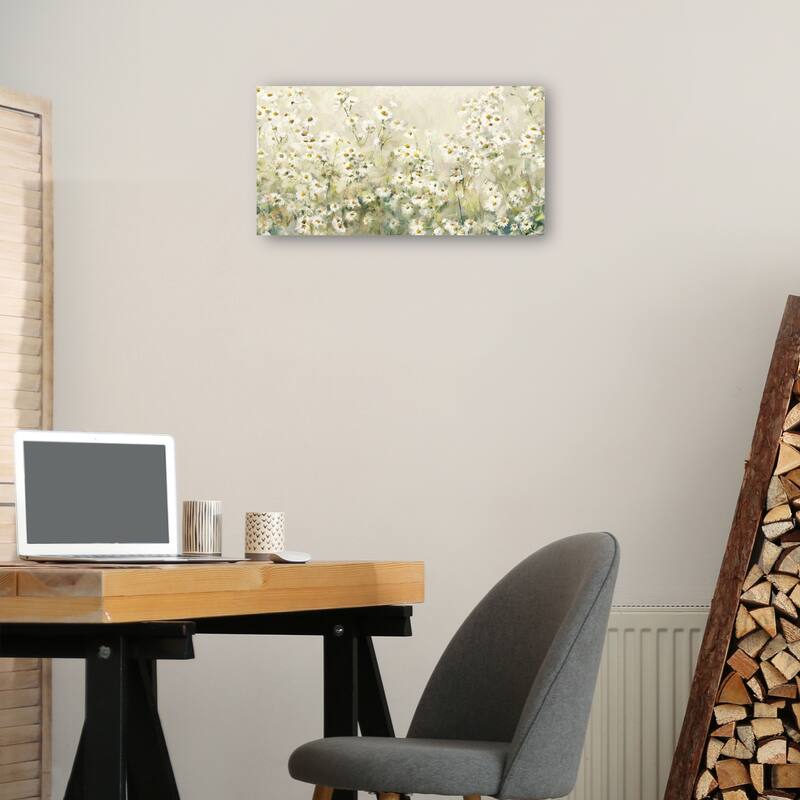 Daytime Daisies By Studio Arts Canvas Art Print