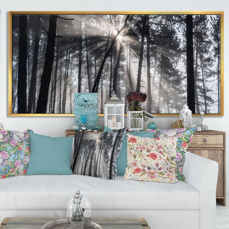 Designart "Sunbeams through Black White Forest" Forest Framed Canvas Wall Art Print