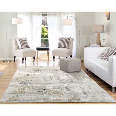 Dynamic Rugs Quartz Transitional Area Rug