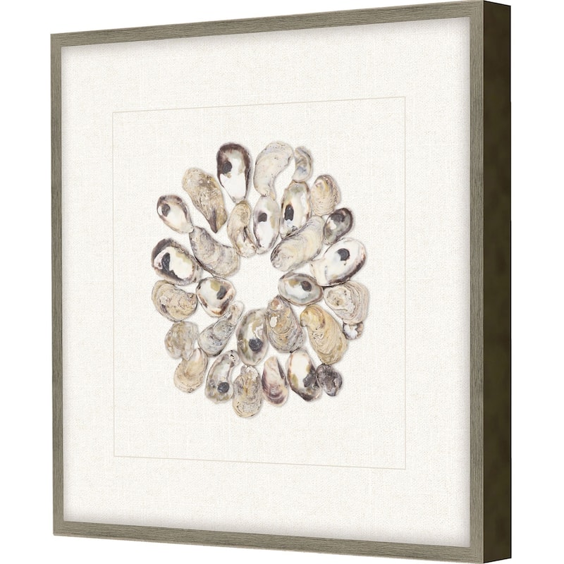 Oyster Shell II Framed Exclusive Mixed Under Glass - Multi-Color