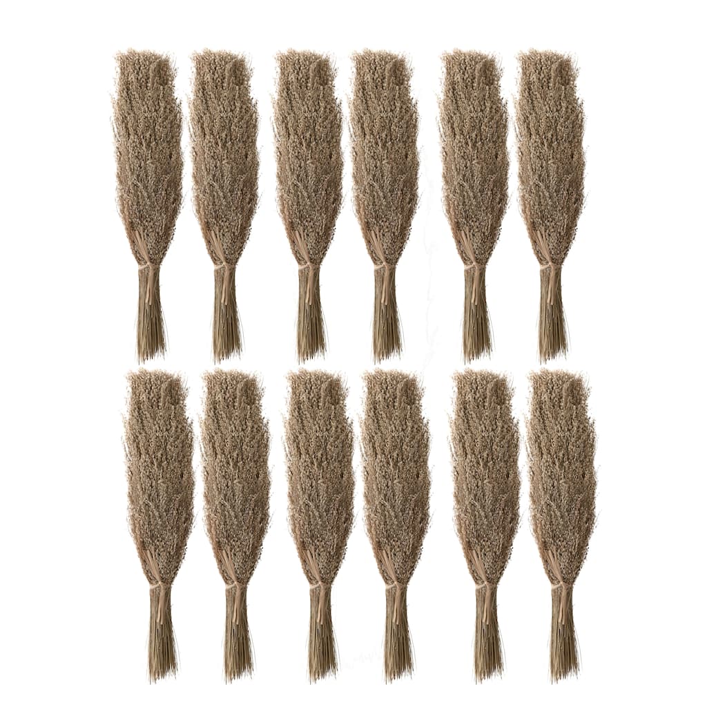 Dried Natural Star Grass Bunch