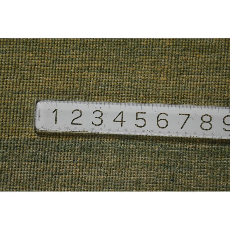 Light Green Modern Gabbeh Oriental Area Rug Handmade Wool Carpet - 4'11" x 6'7"