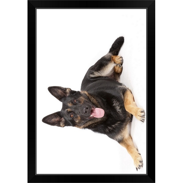 German shepherd panting deals