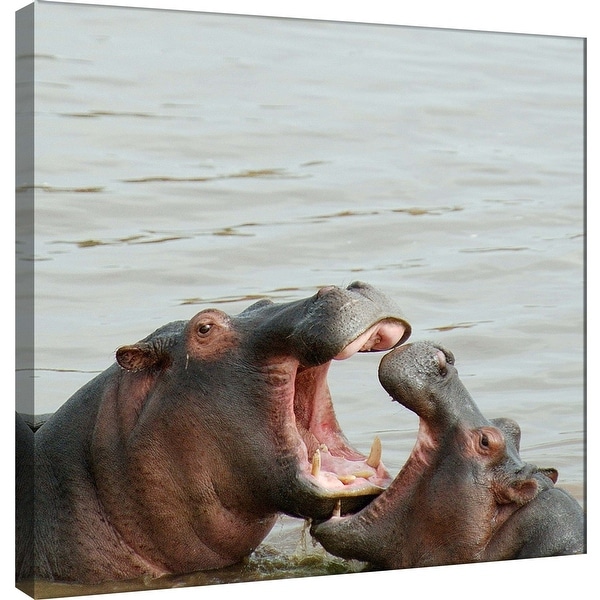 PTM Images 9-101269 PTM Canvas Collection 12" x 12" - "Hippos" Giclee Hippos Art Print on Canvas
