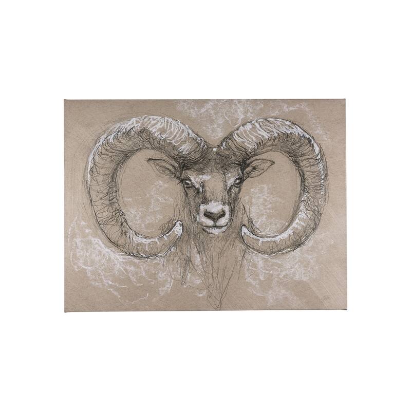 Sketch of Animal I (Wild Sheep) (40 x 30) Canvas Art Print - Small