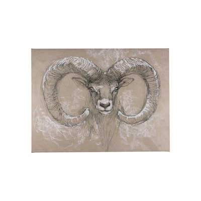 Sketch of Animal I (Wild Sheep) (40 x 30) Canvas Art Print