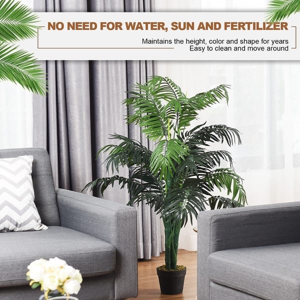 house plants non toxic Spider Plant Hanging Basket: Pet Friendly Live Plant - (6” Pot) – Easy –  Altman Plants main image 0