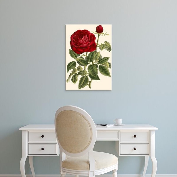 Easy Art Prints VanHoutte's 'Magnificent Rose IV' Premium Canvas Art