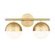 Option Modern Gold