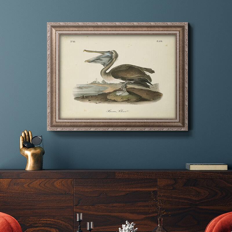 Audubons Brown Pelican Premium Framed Canvas- Ready to Hang