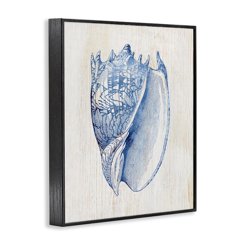 Stupell Nautical Soft Blue Conch Framed Giclee Art Design By Susan Arnot
