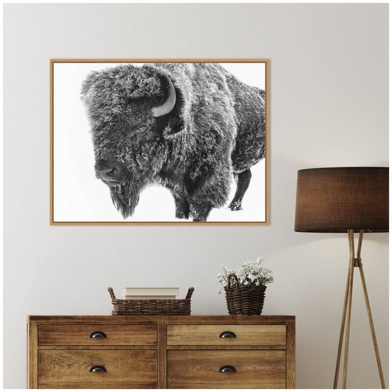 Kate and Laurel Bison in Snow Black and White by Amy Peterson Framed Canvas Wall Art Print