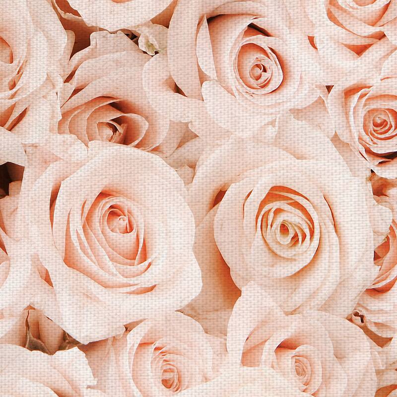 Bed of Roses by Belle Maison Canvas Art Print