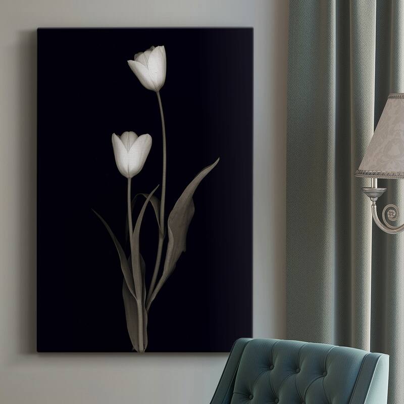 Tulip Pose II Premium Gallery Wrapped Canvas - Ready to Hang