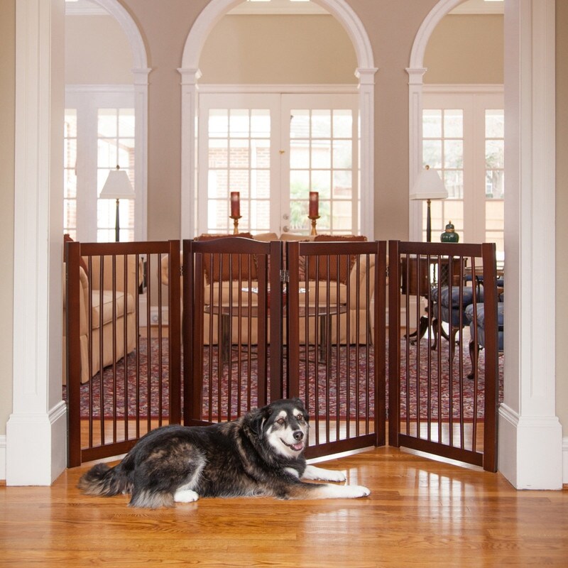 buy pet gate