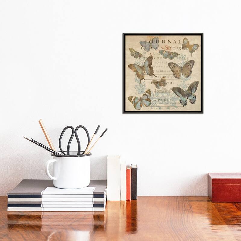 iCanvas "Papillon I" by Deborah Devellier Framed