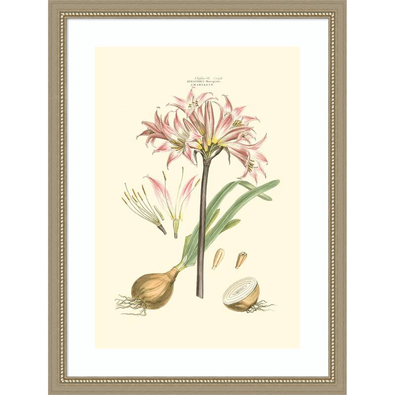 Small Blushing Pink Florals No. 2 by John Miller Wood Framed Wall Art Print