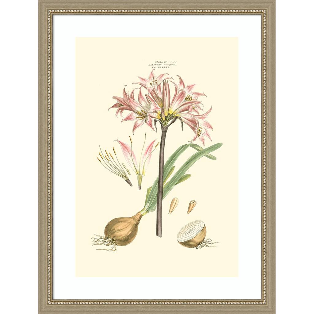 Small Blushing Pink Florals No. 2 by John Miller Wood Framed Wall Art Print