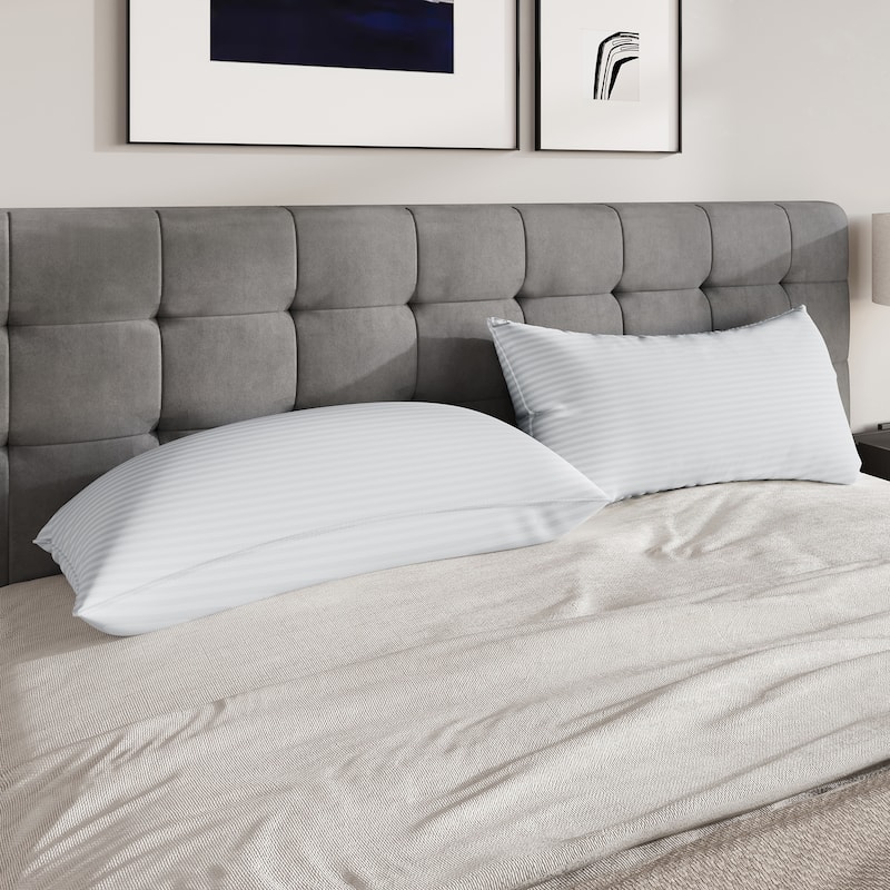 CraftPorch Elegence 2 Pieces Pillow