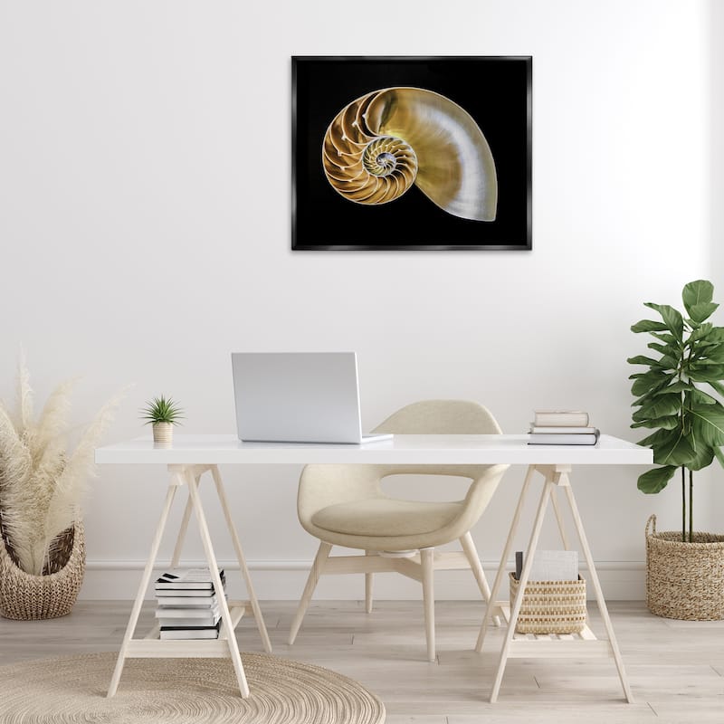Stupell Tan Nautilus Shell on Black Framed Floater Canvas Wall Art Design By Mary Lou Johnson