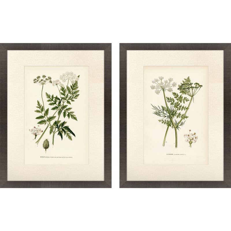 Paragon Queen's Lace II Framed Art - Set of 2