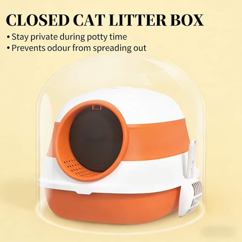 Cat Litter Box