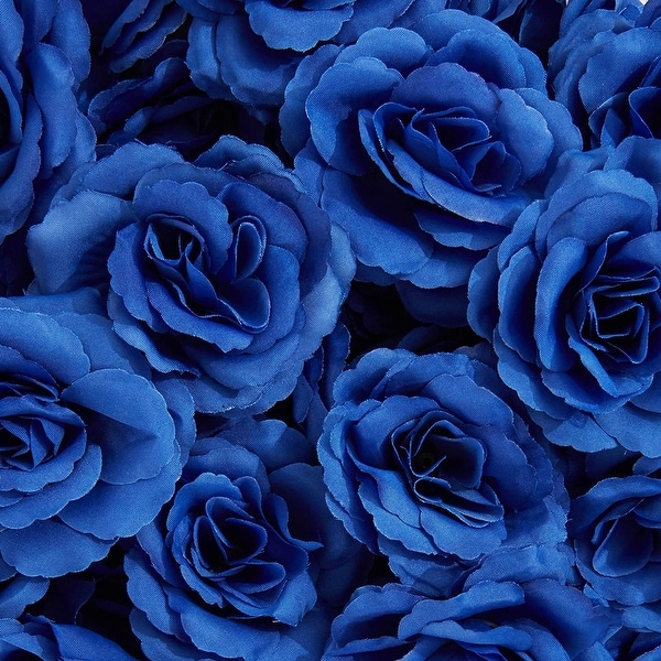 Navy blue roses sale