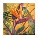 preview thumbnail 7 of 5, Nanette Oleson 'Splash Of The Tropics I' Outdoor Canvas
