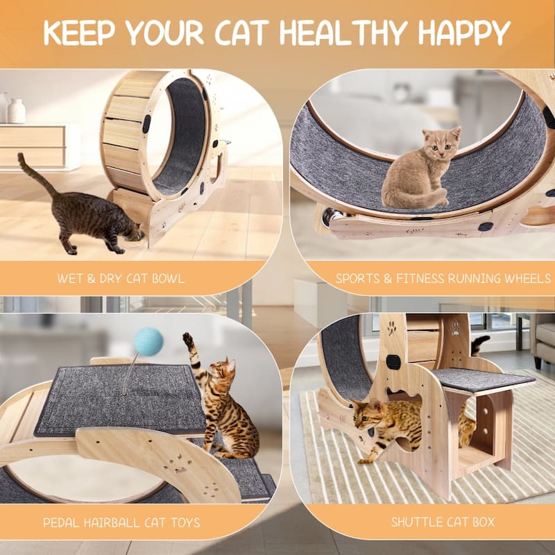 Large 4-in-1 Cat Wheel Exerciser Cat Treadmill with Silent Wheel