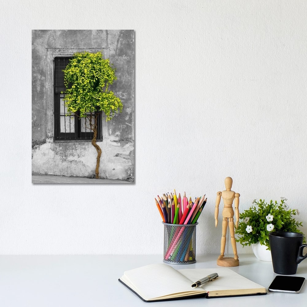 iCanvas "Tree in Front of Window Green Pop Color Pop" by Panoramic Images Canvas Print
