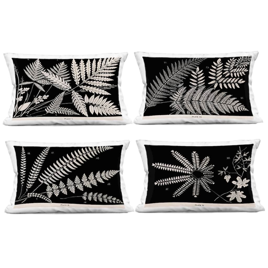 Stupell White Ferns on Black Decorative Printed Throw Pillow Design by Phillipa Katz (Set of 4)