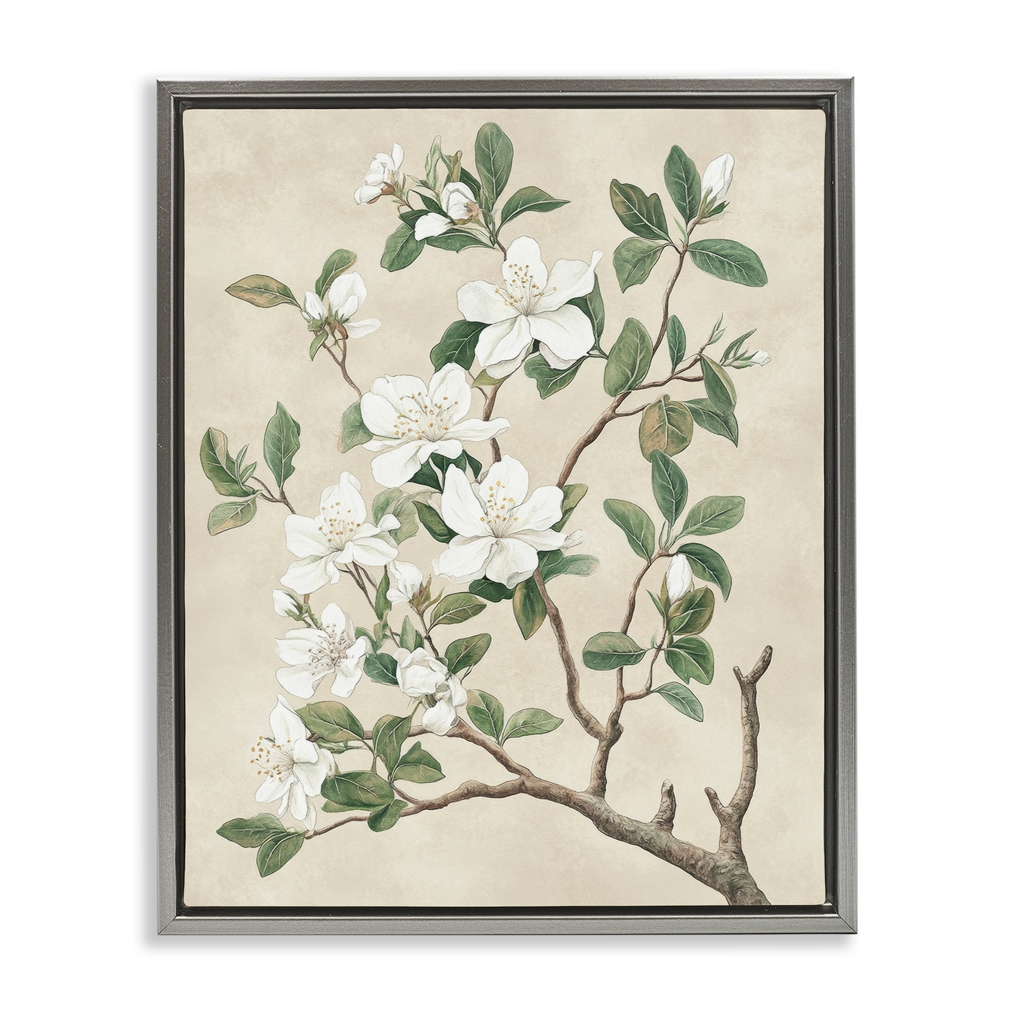 Stupell Vintage White Blossomed Tree Framed Floater Canvas Wall Art Design By Petal Prints Design