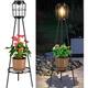 Option 36'' Edison Bulb - 2 Pack