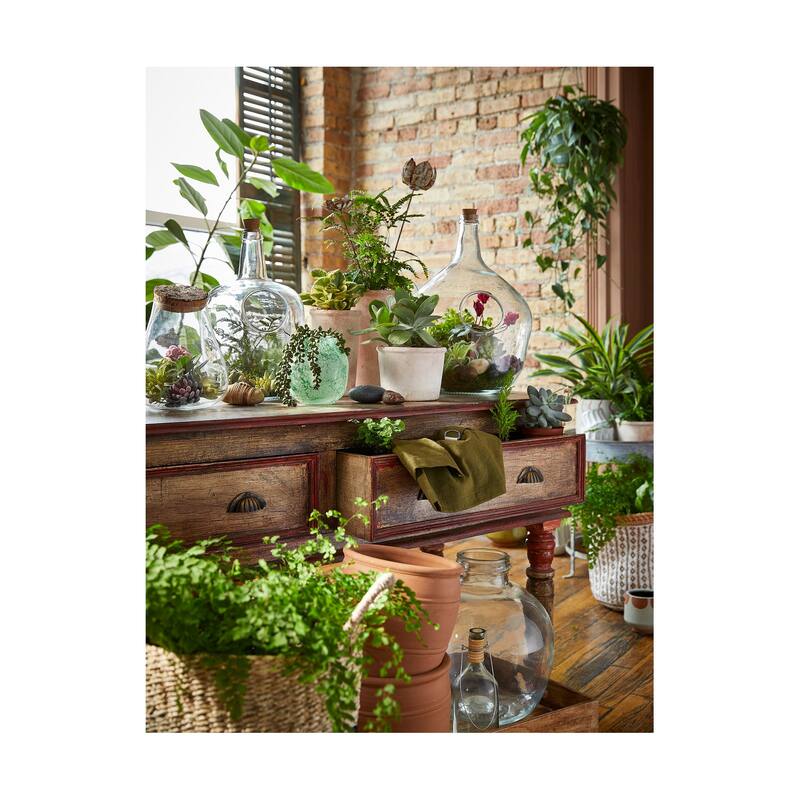 Clear Decorative Large Demijohn Terrarium Glass Vase with Cork Top, 12.2 Diameter x 16.9 H inch.