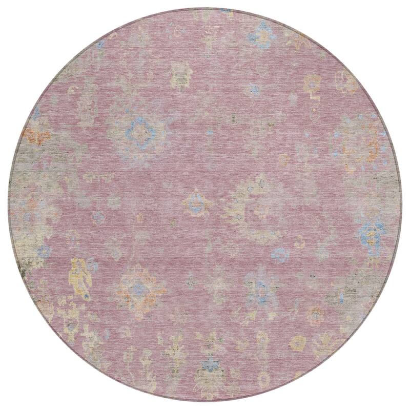 Machine Washable Indoor/ Outdoor Vintage Traditional Chantille Rug