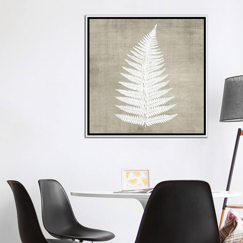 iCanvas "Natures Fern I" by Denise Brown Framed